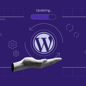 wordpress-updating